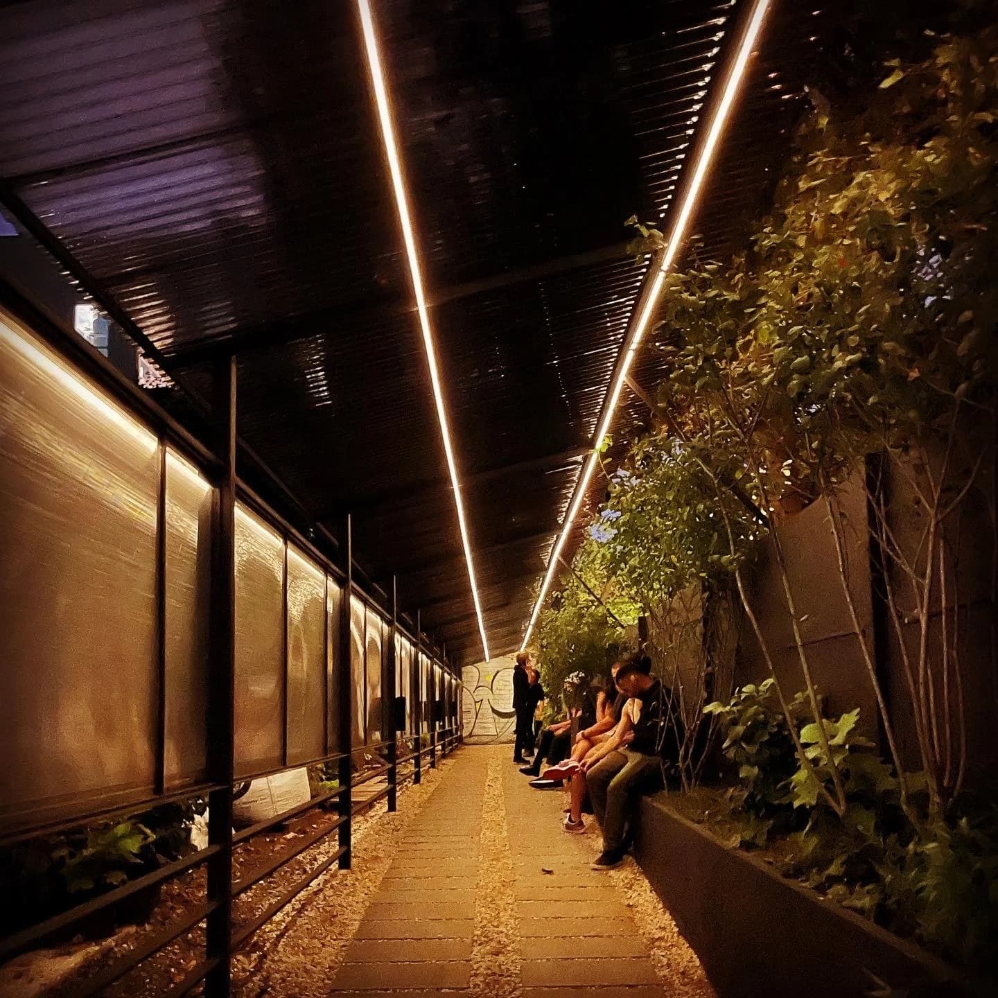 FIG. 01 — El Camino at night